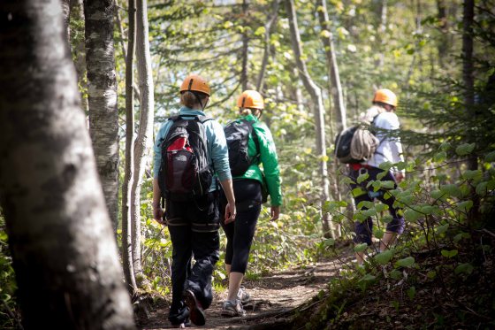Hiking in to Pinkham Notch