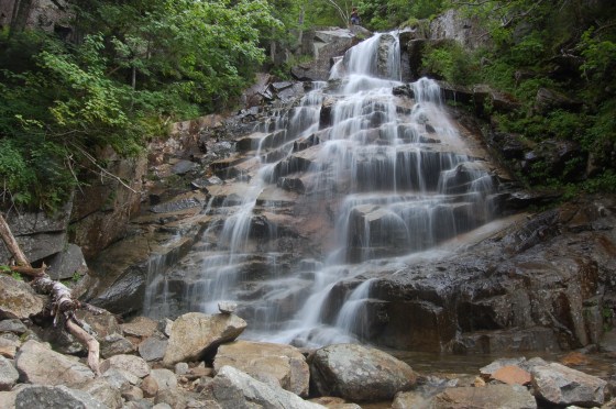 Photo courtesy of Corey Fitzgerald