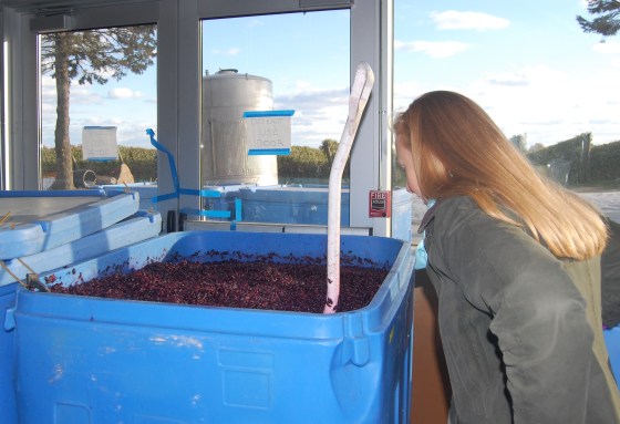 What did I get myself into?