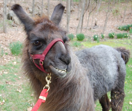 Stone is ready for his close-up