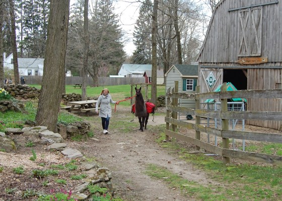 Just like the Sesame Street video...