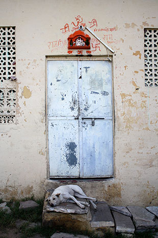 Courtesy of Patrick Shea