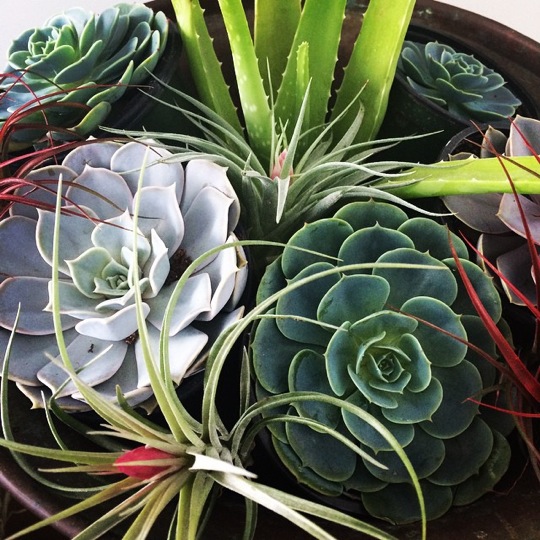 Photo courtesy of Lyndsay Maver