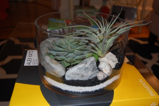 My very own Lynzarium. Look at that sand and dirt swirl!