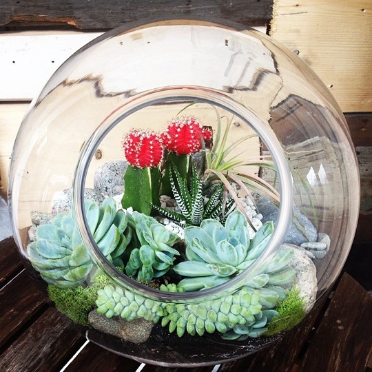 Photo courtesy of Lyndsay Maver