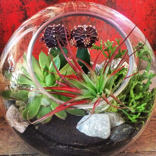 Photo Courtesy of Lyndsay Maver